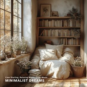 Minimalist Dreams album cover