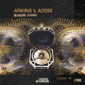DSNB album cover