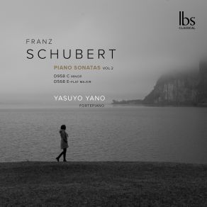 Piano Sonatas Vol. 2 - Piano Sonatas Nos. 7 & 19 (Yasuyo Yano) album cover