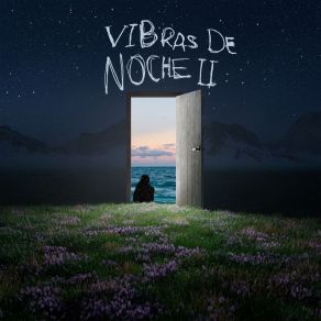 Vibras De Noche II album cover