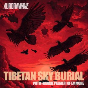 Tibetan Sky Burial album cover