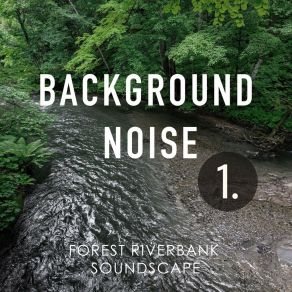 Background Noise: Forest Riverbank Soundscape album cover