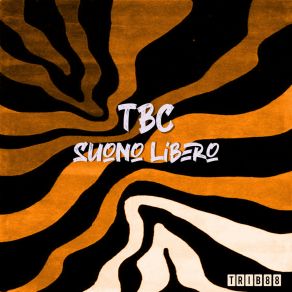 Suono Libero album cover