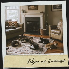 Katzen- Und Hundemusik: Harmonie Der Schnurrhaare album cover