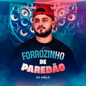 Forrozinho De Paredão album cover