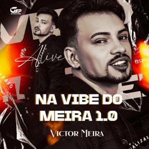 Na Vibe Do Meira 1.0 album cover