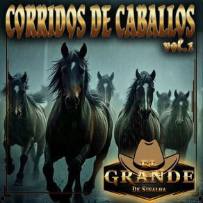 Corridos De Caballos, Vol. 1 album cover