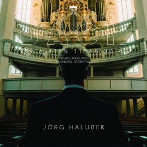 Bach: Organ Landscapes IX (Naumburg) album cover
