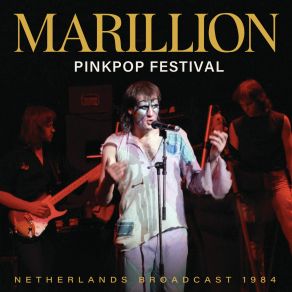 Pinkpop Festival album cover