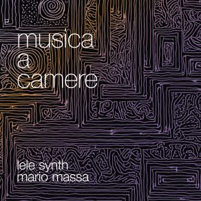 Musica A Camere album cover