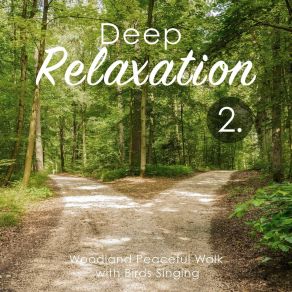 Deep Relaxation: Woodland Peaceful Walk With Birds Singing 2 album cover