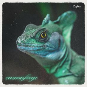 Camouflage album cover