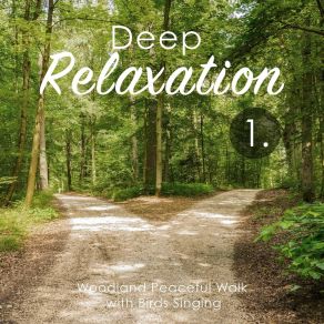 Deep Relaxation: Woodland Peaceful Walk With Birds Singing album cover