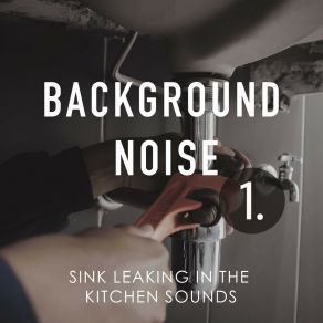 Background Noise: Sink Leaking In The Kitchen Sounds album cover