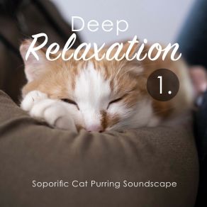 Deep Relaxation: Soporific Cat Purring Soundscape album cover