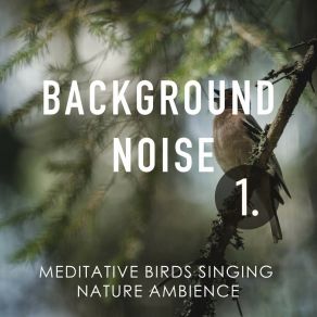 Background Noise: Meditative Birds Singing Nature Ambience album cover