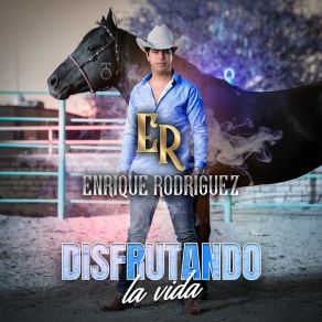Disfrutando La Vida album cover
