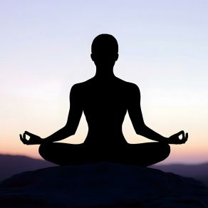 Harmonic Tunes For Quiet Meditation Moments album cover