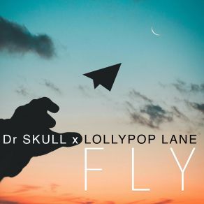 Fly album cover