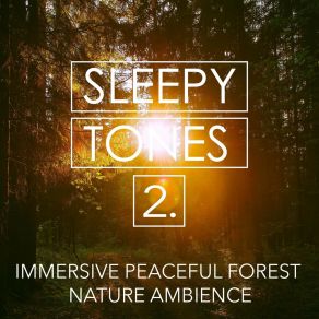 Sleepy Tones: Immersive Peaceful Forest Nature Ambience 2 album cover