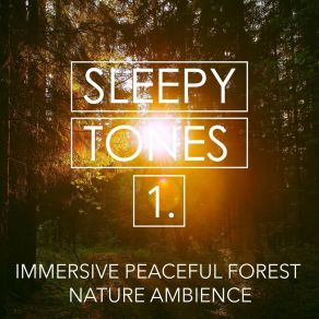 Sleepy Tones: Immersive Peaceful Forest Nature Ambience album cover