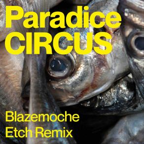 Blazemoche - Etch Remix album cover