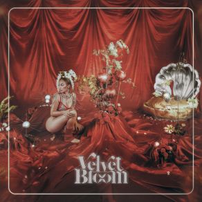 Velvet Bloom album cover