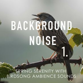 Background Noise: Spring Serenity With Birdsong Ambience Sounds album cover