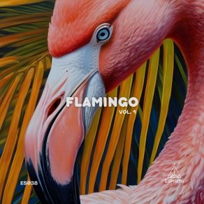 Flamingo Vol. 1 album cover