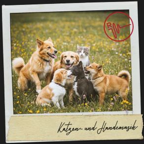 Katzen- Und Hundemusik: Ruhige Traumlandschaft album cover