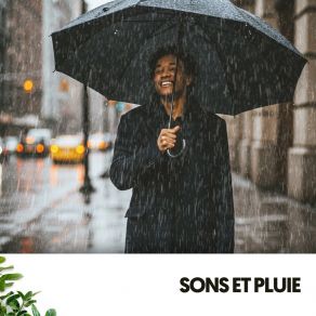 Sons Et Pluie: Mélodies De La Nature album cover