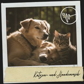 Katzen- Und Hundemusik: Wiegenlied Der Gelassenheit album cover
