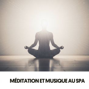 Méditation Et Musique De Spa: Tu Es Vivant album cover