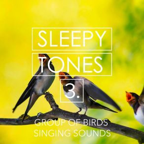 Sleepy Tones: Group Of Birds Singing Sounds 3 album cover