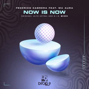 Now Is Now album cover