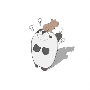 CAPYBARA album cover