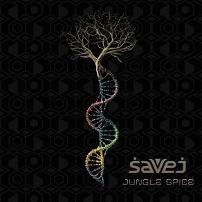 Jungle Spice album cover