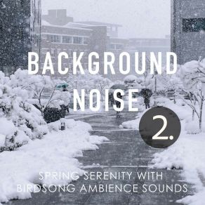 Background Noise: Exploring The City In Winter Soundscape 2 album cover