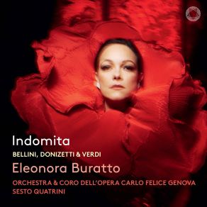 Indomita album cover