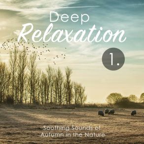 Deep Relaxation: Soothing Sounds Of Autumn In The Nature album cover