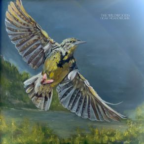 Dear Meadowlark album cover