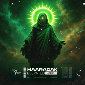 Elevated (Radio Edit) album cover