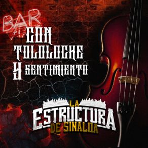 Con Tololoche Y Sentimiento (En Vivo) album cover