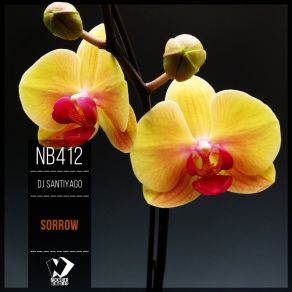 Sorrow (Original Mix) album cover