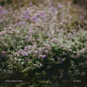 Eifel album cover