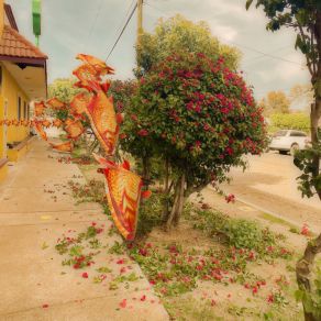 Peaje album cover
