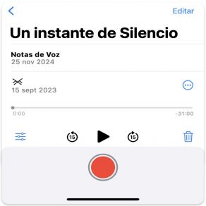 Un Instante De Silencio album cover