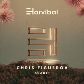 Agadir album cover