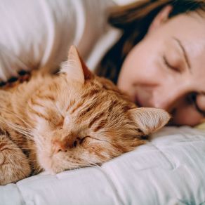 Música Para La Siesta Del Gato: Sonidos Serenos album cover