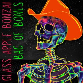 Bag Of Bones album cover
